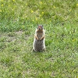 Meet your Posher, Caleb